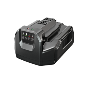 Ego CH2100E Standard Charger