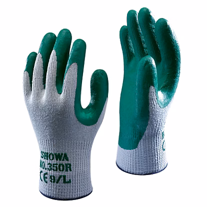 auto draft